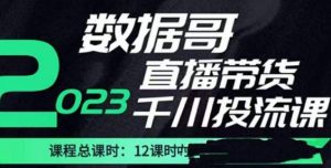 数据哥2023直播电商巨量千川付费投流实操课，快速掌握直播带货运营投放策略-八爪鱼资源库
