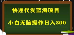 2023最新蓝海快递代发项目,小白零成本照抄也能日入300+-八爪鱼资源库