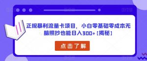 正规暴利流量卡项目,小白零基础零成本无脑照抄也能日入300+【揭秘】-八爪鱼资源库