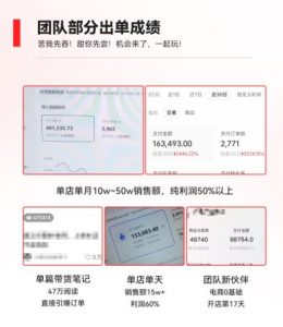 2023小红书电商火爆全网,新晋红利,风口项目,单店收益在3000-30000!-八爪鱼资源库