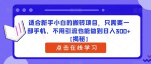 适合新手小白的搬砖项目，只需要一部手机、不用引流也能做到日入300+【揭秘】-八爪鱼资源库