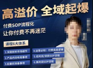 逸风-拼多多高溢价全域起爆，6大课程体系，付费玩法全套实操-八爪鱼资源库