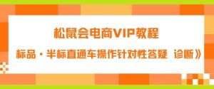 松鼠会电商VIP教程:松鼠《付费推广标品·半标直通车操作针对性答疑&诊断》-八爪鱼资源库