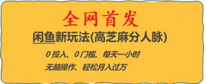 闲鱼新玩法(高芝麻分人脉)0投入0门槛,每天一小时，轻松月入过万【揭秘】-八爪鱼资源库