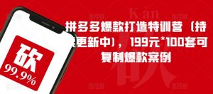 拼多多爆款打造特训营（持续更新中)，199元*100套可复制爆款案例-八爪鱼资源库