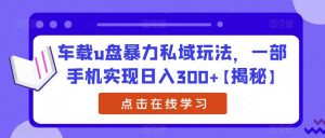 车载u盘暴力私域玩法，一部手机实现日入300+【揭秘】-八爪鱼资源库