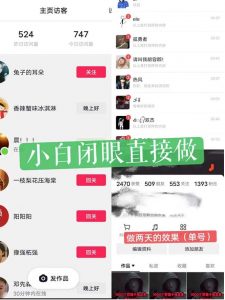 一天做完别一辈子的视频制作最近很火的《1000个野路子信息差》100%过原创【揭秘】-八爪鱼资源库