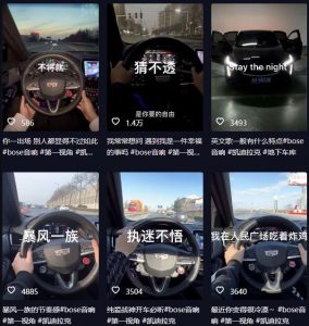 抖音开车视频项目，0基础操作，每天五分钟，月入1W+【揭秘】-八爪鱼资源库