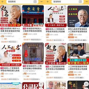 拆解小红书宝宝起名虚拟副业项目，一条龙实操玩法分享给你（教程+软件）-八爪鱼资源库