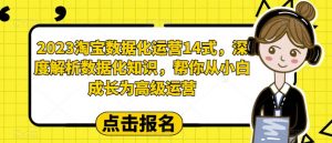 2023淘宝数据化运营14式，深度解析数据化知识，帮你从小白成长为高级运营-八爪鱼资源库