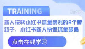 新人玩转小红书流量暴涨的8个野路子，小红书新人快速流量破局-八爪鱼资源库