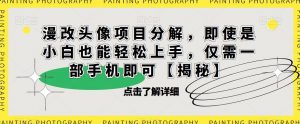 漫改头像项目分解，即使是小白也能轻松上手，仅需一部手机即可【揭秘】-八爪鱼资源库