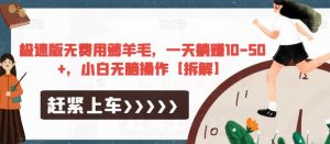 极速版无费用薅羊毛，一天躺赚10-50+，小白无脑操作【拆解】-八爪鱼资源库