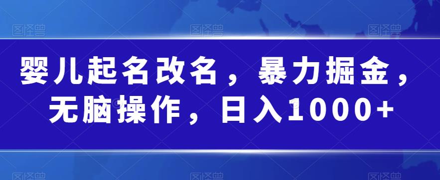 婴儿起名改名，暴力掘金，无脑操作，日入1000+【揭秘】-八爪鱼资源库