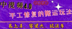 中视频4.0赛道:新手福音,一小时制作,三天过计划,7天看效果【揭秘】-八爪鱼资源库