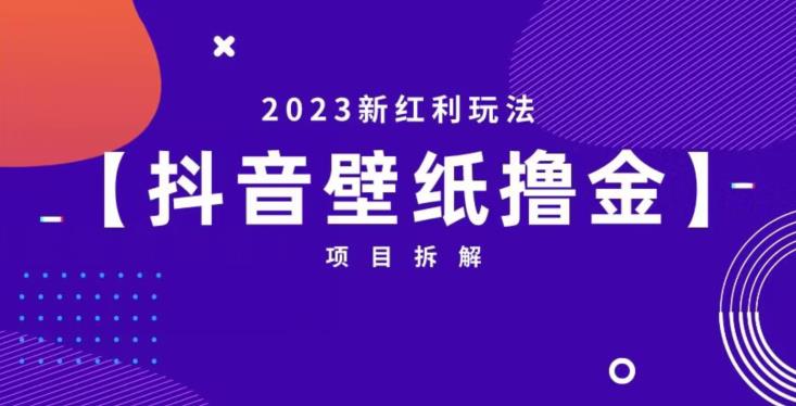 抖音壁纸小程序创作者撸金项目，2023新红利玩法【项目拆解】-八爪鱼资源库