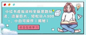 小红书虚拟资料全新思路玩法，流量巨大，轻松日入300+，小白可操作【揭秘】-八爪鱼资源库