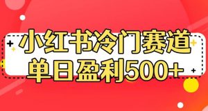 小红书冷门赛道,单日盈利500+【揭秘】-八爪鱼资源库