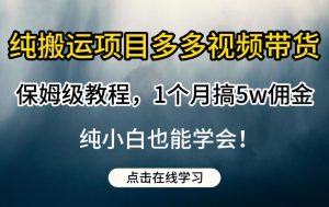 纯搬运项目多多视频带货保姆级教程，1个月搞5w佣金，纯小白也能学会【揭秘】-八爪鱼资源库
