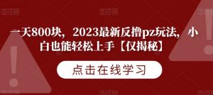 一天800块，2023最新反撸pz玩法，小白也能轻松上手【仅揭秘】-八爪鱼资源库