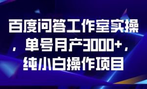 百度问答工作室实操，单号月产3000+，纯小白操作项目【揭秘】-八爪鱼资源库