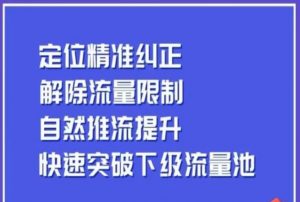 同城账号付费投放运营优化提升,定位精准纠正,解除流量限制,自然推流提升,极速突破下级流量池-八爪鱼资源库