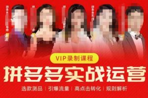 2023推易拼多多实战运营,选款测品、引爆流量、高点击转化、规则解析-八爪鱼资源库