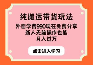 纯搬运带货玩法，外面学费990现在免费分享，新人无脑操作也能月入过万【揭秘】-八爪鱼资源库