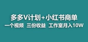 【蓝海项目】多多v计划+小红书商单一个视频三份收益工作室月入10w-八爪鱼资源库