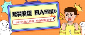 小红书育儿资料，一部手机可操作，多种变现方式，日入500+，私域变现，长期可持续项目【揭秘】-八爪鱼资源库