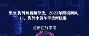 黑冰·海外短视频带货，2023年跨境新风口，海外小黄车带货新机遇-八爪鱼资源库