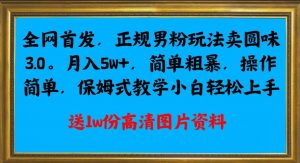 全网首发正规男粉玩法卖圆味3.0，月入5W+，简单粗暴，操作简单，保姆式教学，小白轻松上手-八爪鱼资源库