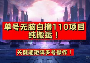 9月全网首发，单号直接白撸110！可多号操作，无脑搬运复制粘贴【揭秘】-八爪鱼资源库