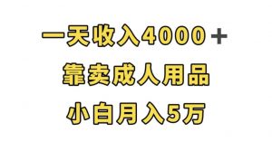 一天收入4000+，靠卖成人用品，小白轻松月入5万【揭秘】-八爪鱼资源库