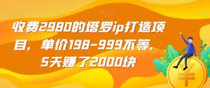 收费2980的塔罗ip打造项目，单价198-999不等，5天赚了2000块【揭秘】-八爪鱼资源库