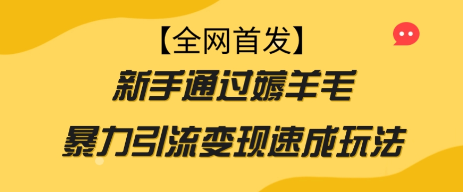 【全网首发】新手通过薅羊毛暴力引流变现速成玩法-八爪鱼资源库