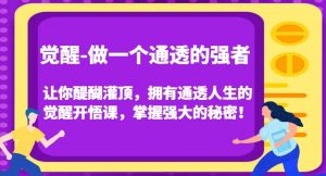 觉醒-做一个通透的强者，让你醍醐灌顶，拥有通透人生的觉醒开悟课，掌握强大的秘密！-八爪鱼资源库