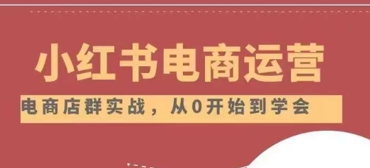 小红书店铺运营从小白到大神2.0,从入门到精通-八爪鱼资源库