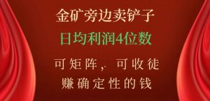 金矿旁边卖铲子，赚确定性的钱，可矩阵，可收徒，日均利润4位数【揭秘】-八爪鱼资源库