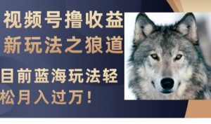 视频号撸收益新玩法之狼道，目前蓝海玩法，轻松月入过万【揭秘】-八爪鱼资源库