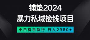 暴力私域捡钱项目，小白无脑操作，日入2980【揭秘】-八爪鱼资源库