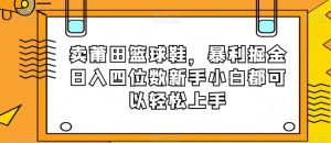 卖莆田篮球鞋，暴利掘金日入四位数新手小白都可以轻松上手【揭秘】-八爪鱼资源库