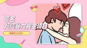 全网首发，揭秘超冷门匿名短信项目，通过信息差日入几百+【揭秘】-八爪鱼资源库