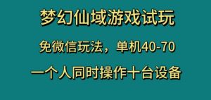 梦幻仙域游戏试玩，免微信玩法，单机40-70，一个人同时操作十台设备【揭秘】-八爪鱼资源库