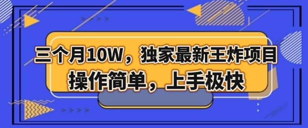 三个月10W，独家最新王炸项目！操作简单，上手极快【揭秘】-八爪鱼资源库