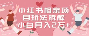 小红书相亲项目玩法拆解，有人通过这个副业项目做到了月收入2万多【揭秘】-八爪鱼资源库