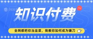 2024最新知识付费项目，小白也能轻松入局，全网都在教你做项目，我教你做镰刀【揭秘】-八爪鱼资源库