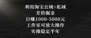 利用淘宝公域+私域差价掘金，日赚1000-5000元，工作室可放大操作，实操稳定半年【揭秘】-八爪鱼资源库