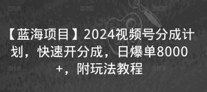 【蓝海项目】2024视频号分成计划，快速开分成，日爆单8000+，附玩法教程-八爪鱼资源库