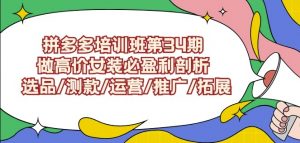 拼多多培训班第34期：做高价女装必盈利剖析选品/测款/运营/推广/拓展-八爪鱼资源库